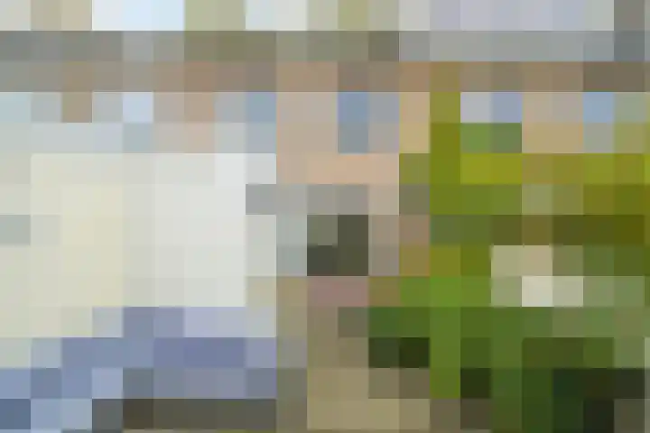 Bavelselaan 21 B Breda thumbnail 27