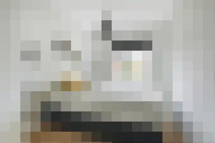 Bavelselaan 21 B Breda thumbnail 31