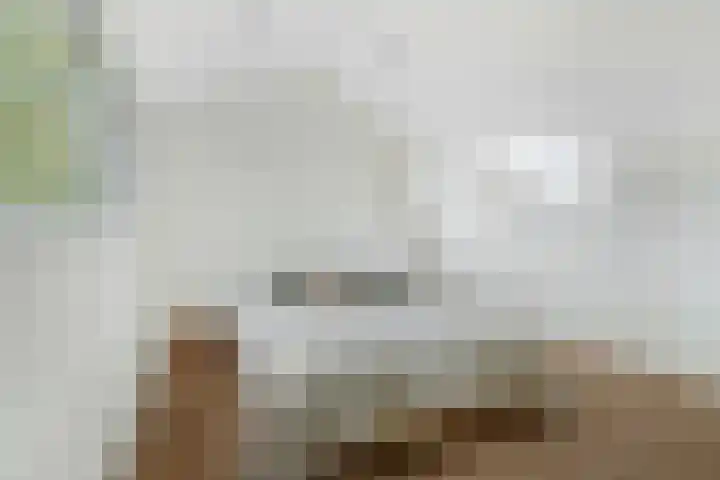 Bavelselaan 21 B Breda thumbnail 37