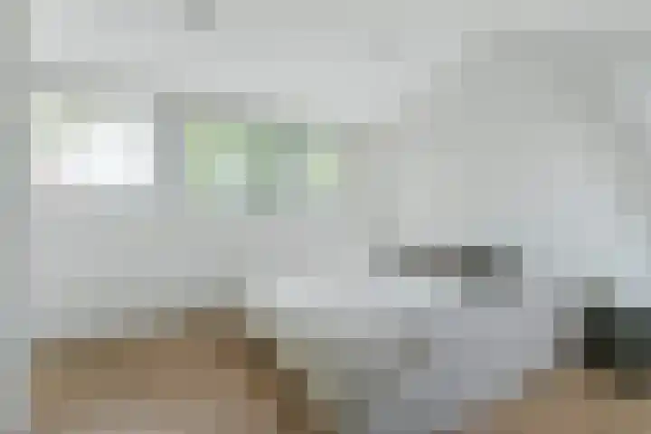 Bavelselaan 21 B Breda thumbnail 38