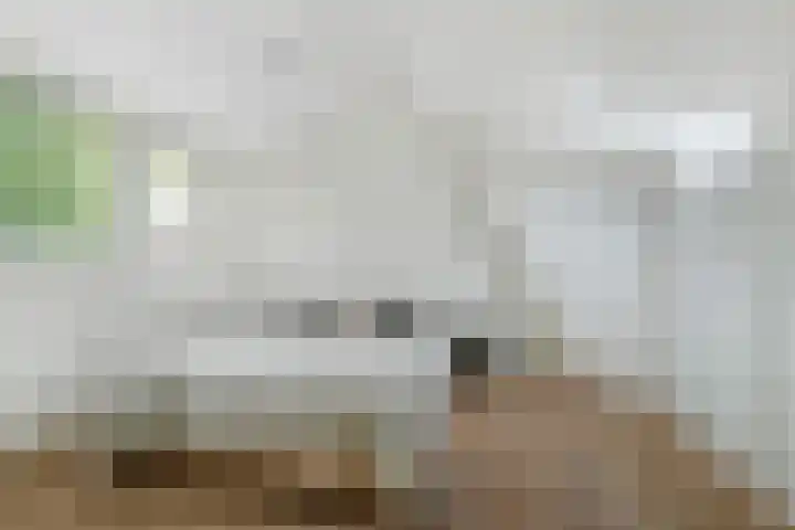 Bavelselaan 21 B Breda thumbnail 4