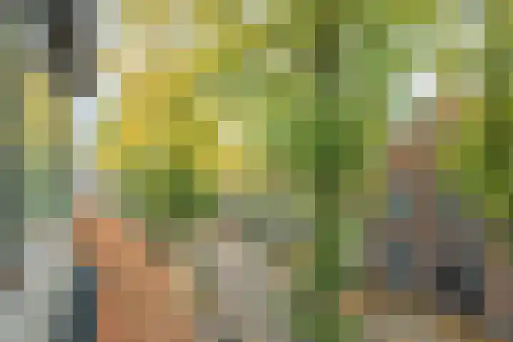 Bavelselaan 21 B Breda thumbnail 40