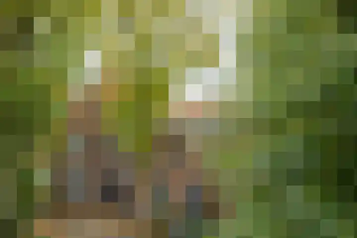 Bavelselaan 21 B Breda thumbnail 41
