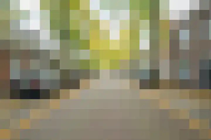 Bavelselaan 21 B Breda thumbnail 45