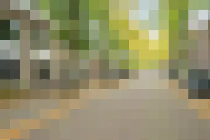 Bavelselaan 21 B Breda thumbnail 46