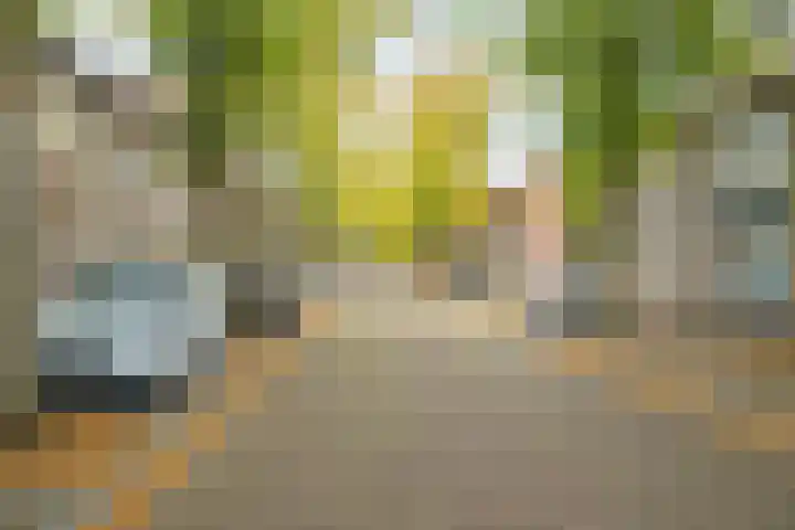 Bavelselaan 21 B Breda thumbnail 47