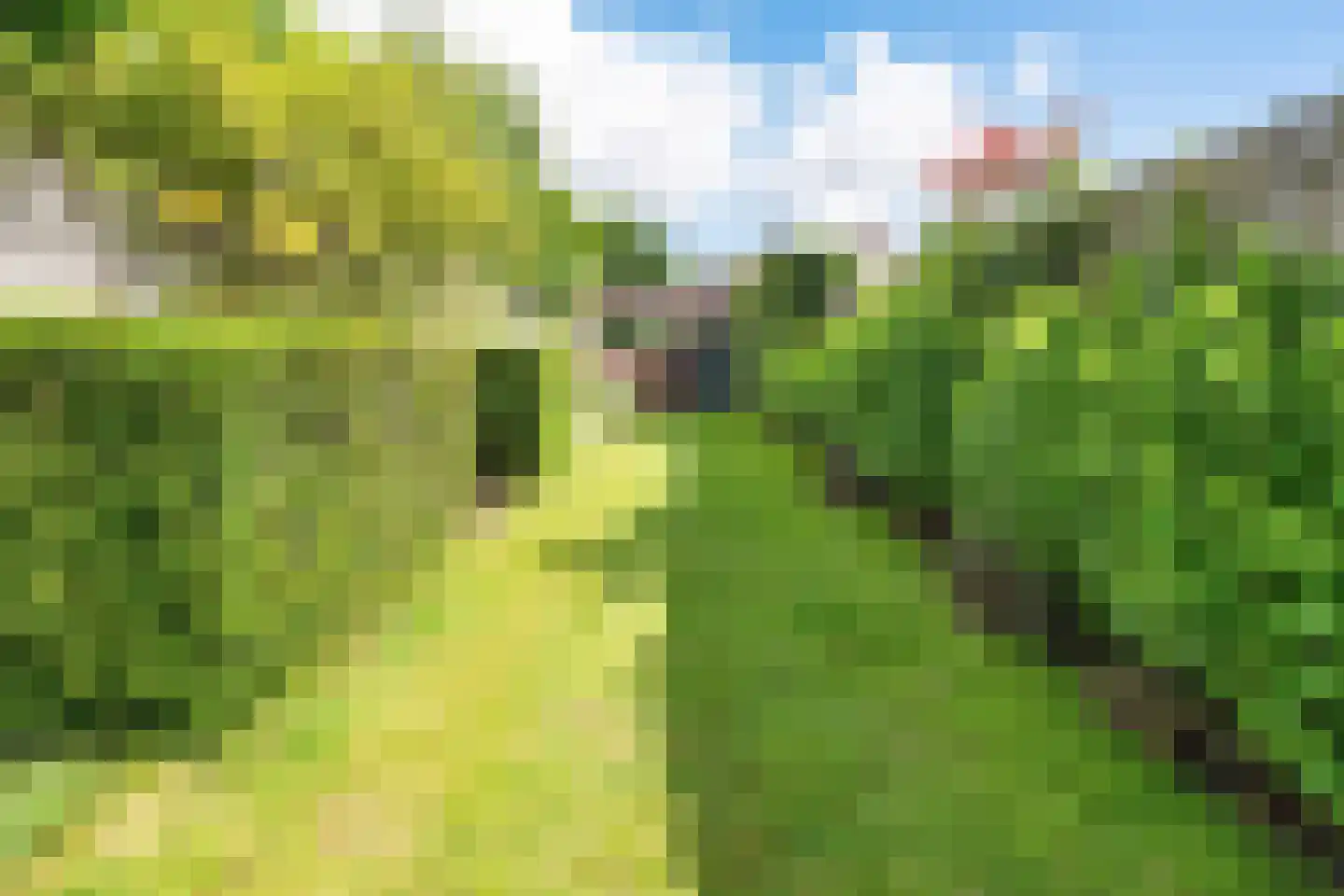 Bavelselaan 281 Breda thumbnail 34