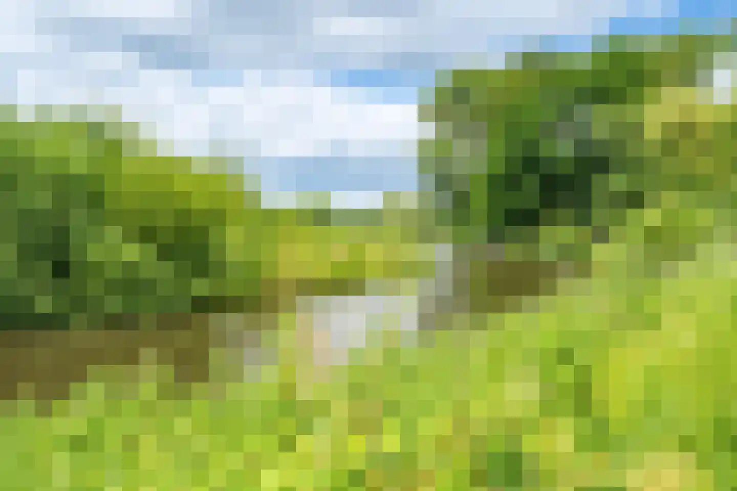 Bavelselaan 281 Breda thumbnail 46