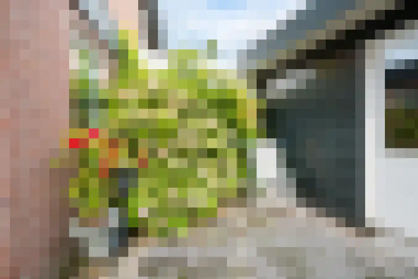 Bavelselaan 3 Breda thumbnail 23