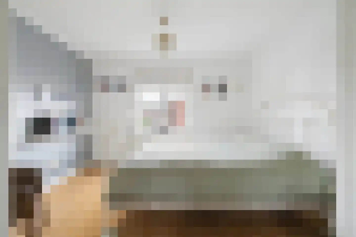 Bavelselaan 3 Breda thumbnail 33