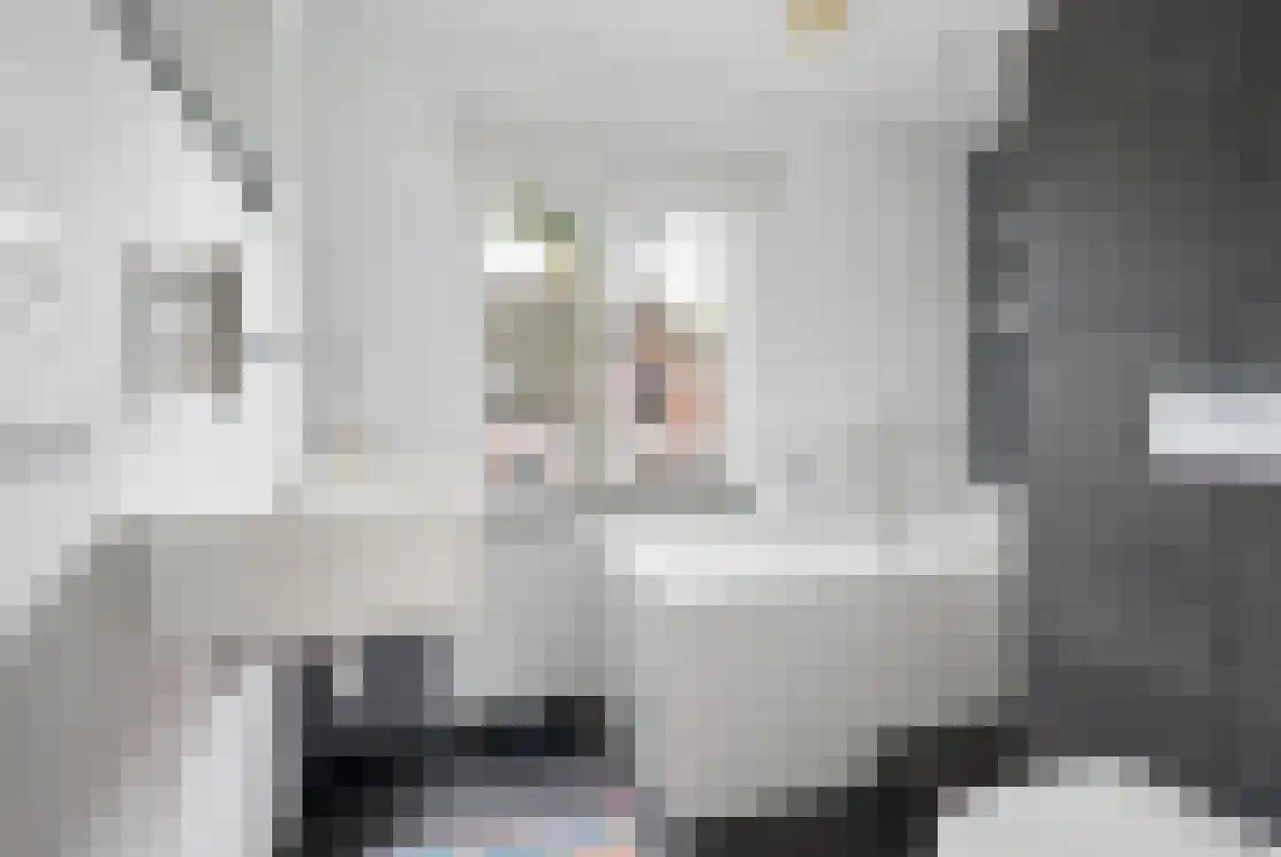 Bavelselaan 3 Breda thumbnail 39
