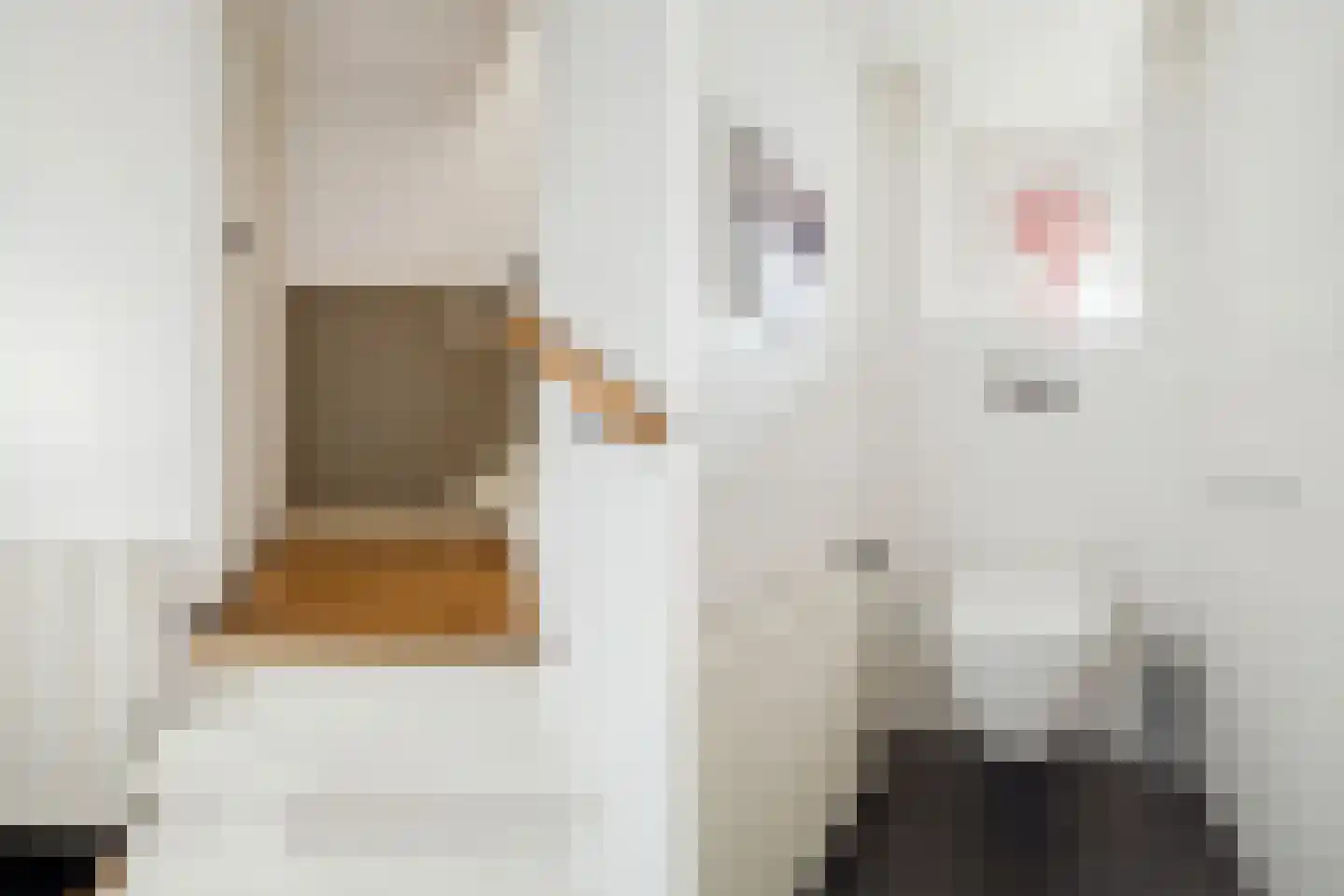 Bavelselaan 3 Breda thumbnail 7
