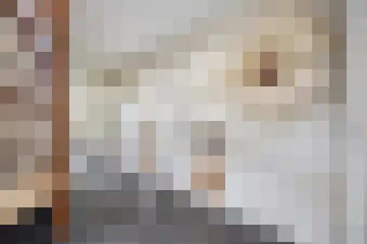 Bavelselaan 322 Breda thumbnail 12