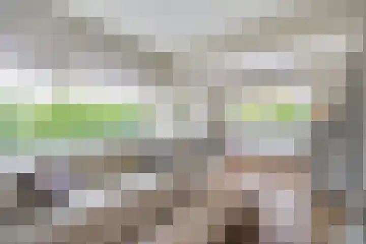 Bavelselaan 322 Breda thumbnail 16