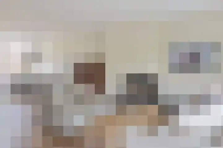 Bavelselaan 322 Breda thumbnail 20