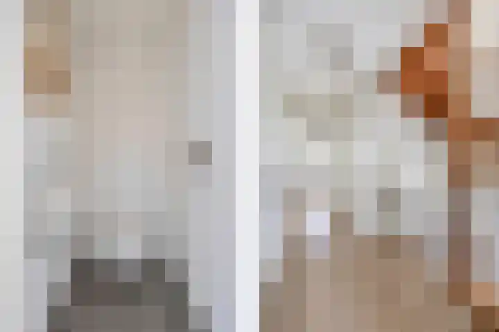 Bavelselaan 322 Breda thumbnail 31