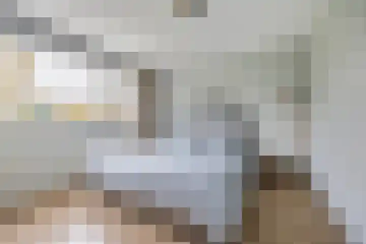 Bavelselaan 322 Breda thumbnail 39