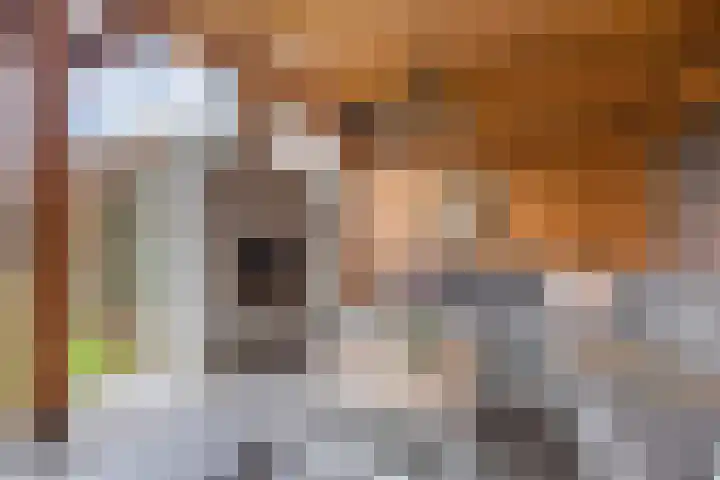 Bavelselaan 322 Breda thumbnail 4