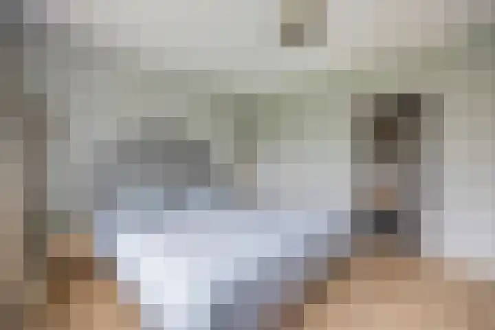 Bavelselaan 322 Breda thumbnail 40