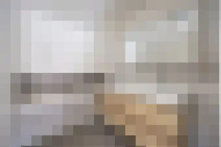 Bavelselaan 322 Breda thumbnail 44