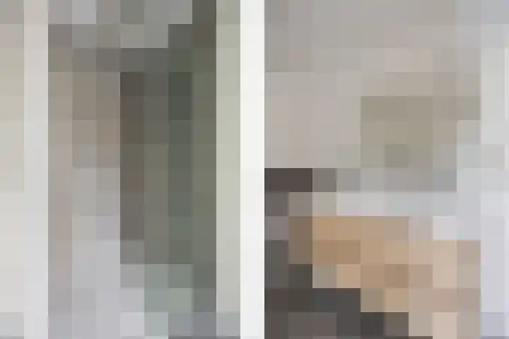 Bavelselaan 322 Breda thumbnail 46
