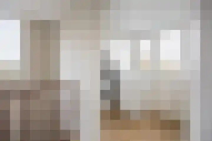 Bavelselaan 322 Breda thumbnail 47