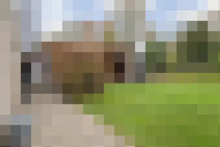 Bavelselaan 322 Breda thumbnail 59