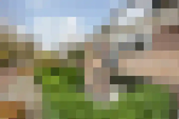 Bavelselaan 322 Breda thumbnail 6