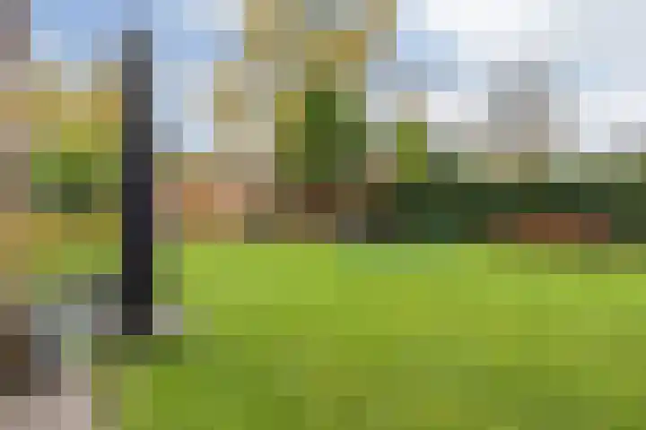 Bavelselaan 322 Breda thumbnail 62