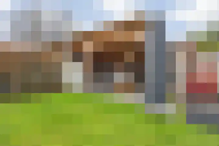 Bavelselaan 322 Breda thumbnail 63