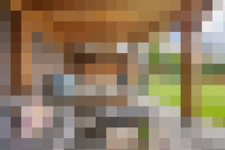 Bavelselaan 322 Breda thumbnail 64