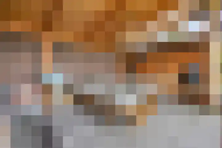 Bavelselaan 322 Breda thumbnail 65