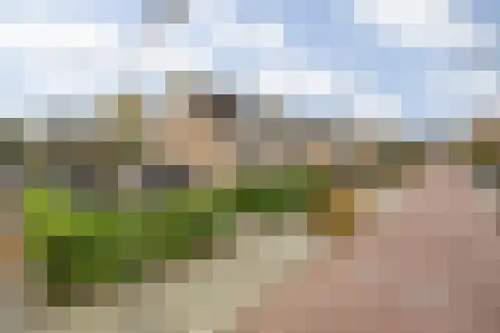 Bavelselaan 322 Breda thumbnail 7