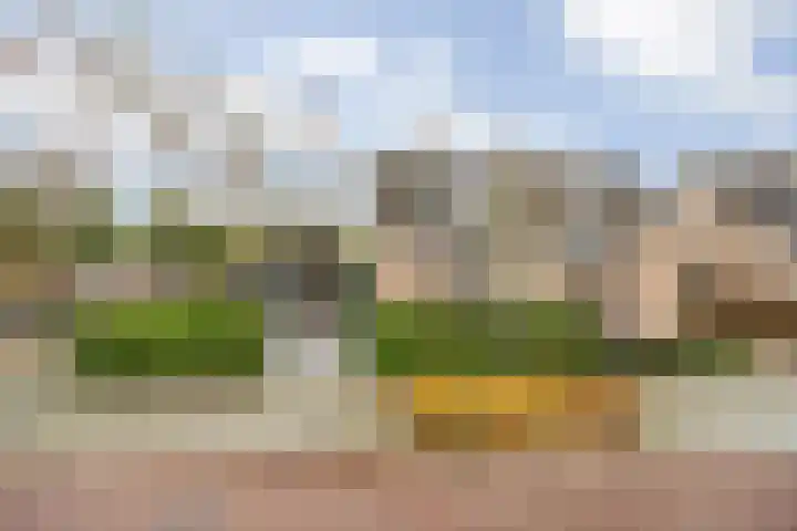 Bavelselaan 322 Breda thumbnail 8