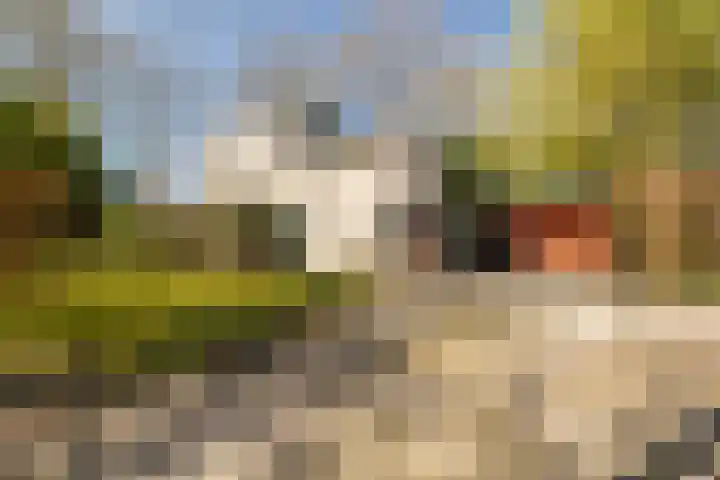 Bavelselaan 323 in Breda