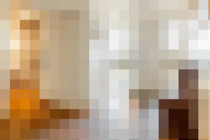 Bavelselaan 323 Breda thumbnail 11