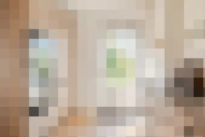 Bavelselaan 323 Breda thumbnail 23