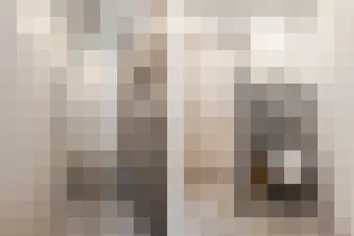 Bavelselaan 323 Breda thumbnail 28