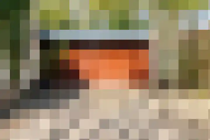 Bavelselaan 323 Breda thumbnail 29