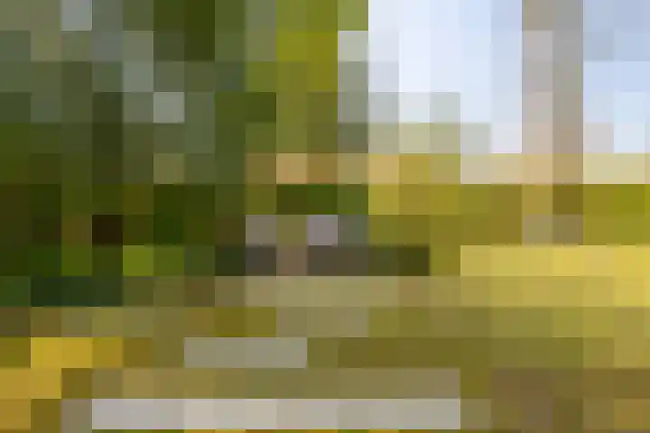Bavelselaan 323 Breda thumbnail 31