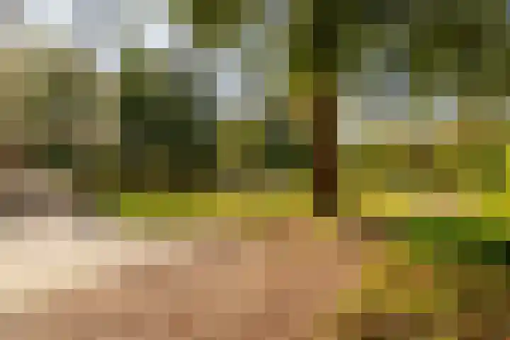 Bavelselaan 323 Breda thumbnail 32