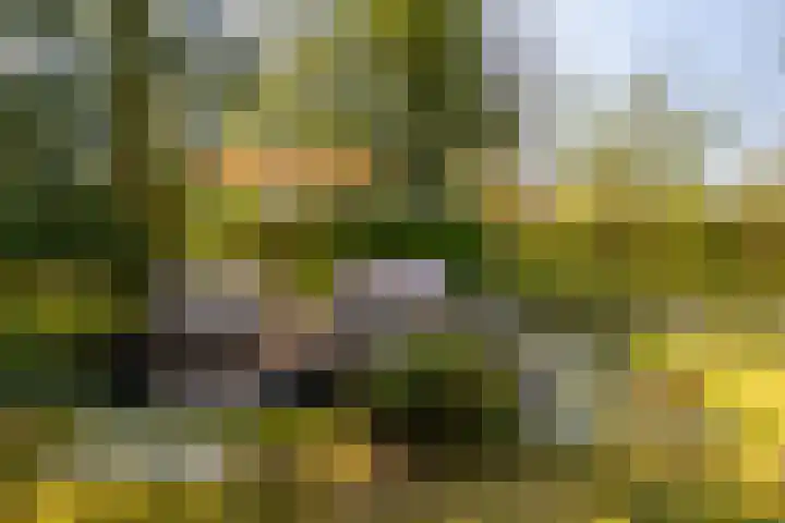 Bavelselaan 323 Breda thumbnail 33