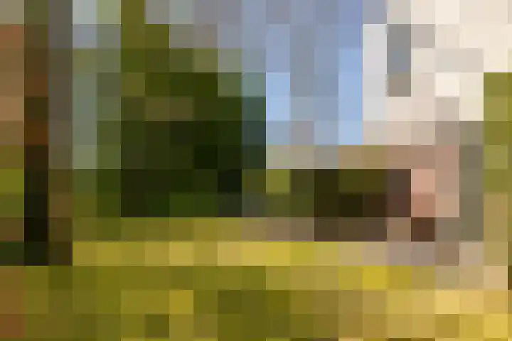 Bavelselaan 323 Breda thumbnail 34