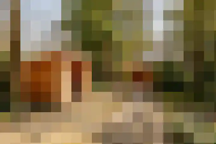 Bavelselaan 323 Breda thumbnail 35