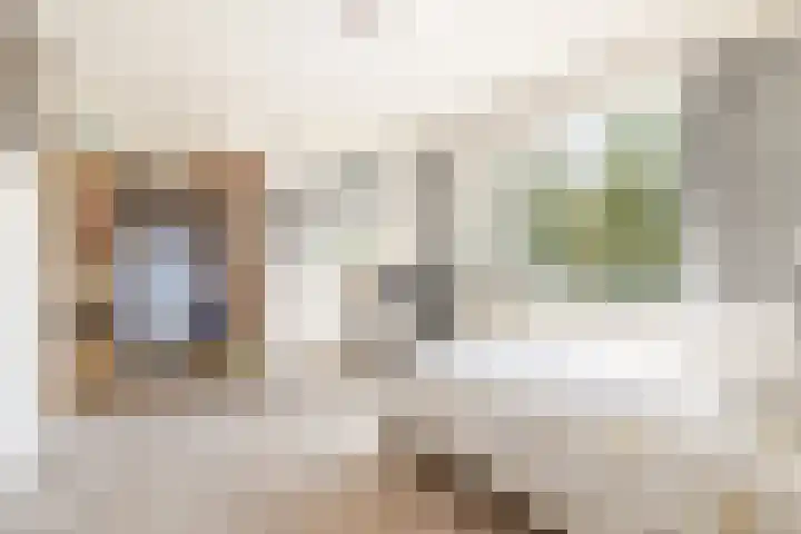 Bavelselaan 323 Breda thumbnail 38
