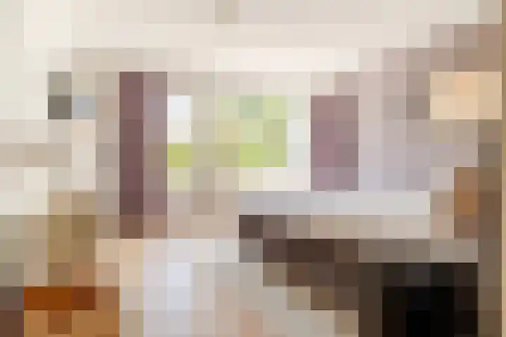 Bavelselaan 323 Breda thumbnail 4