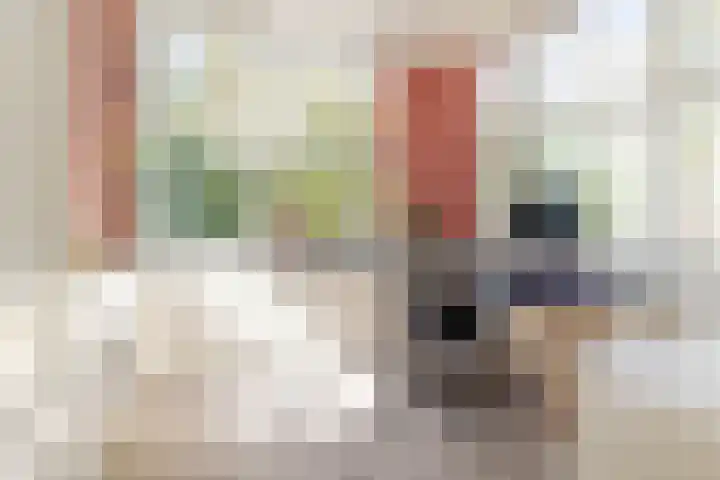 Bavelselaan 323 Breda thumbnail 40