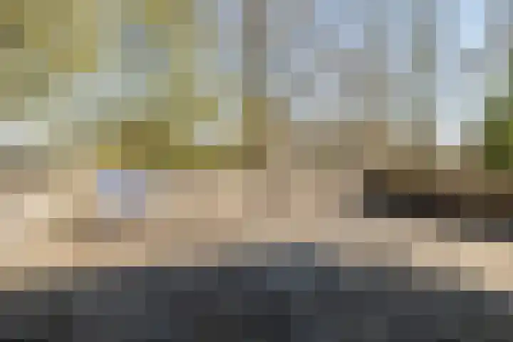 Bavelselaan 323 Breda thumbnail 44
