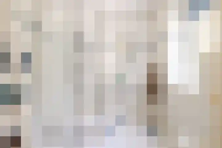 Bavelselaan 323 Breda thumbnail 45