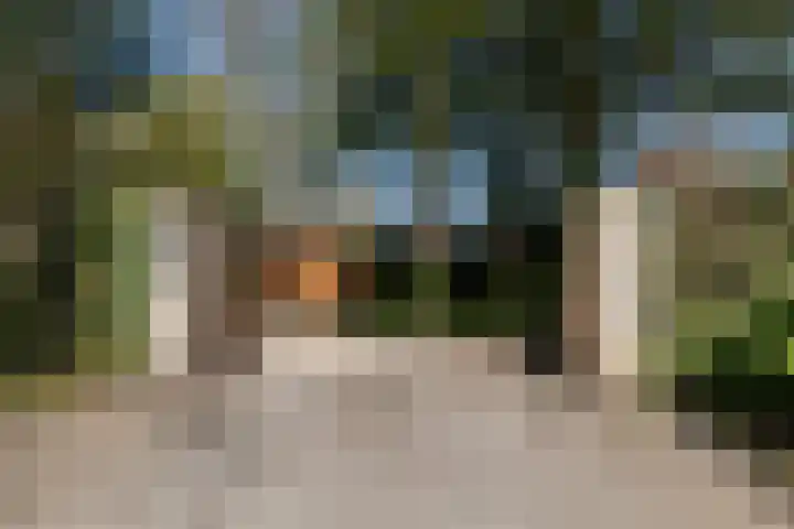 Bavelselaan 323 Breda thumbnail 6